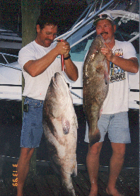 BIG FISH!!
