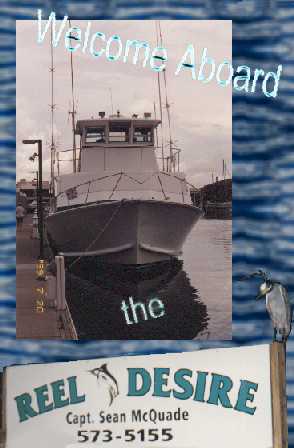 The Reel Desire!